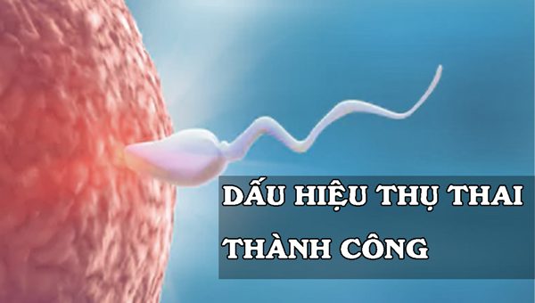 Dấu hiệu thụ thai