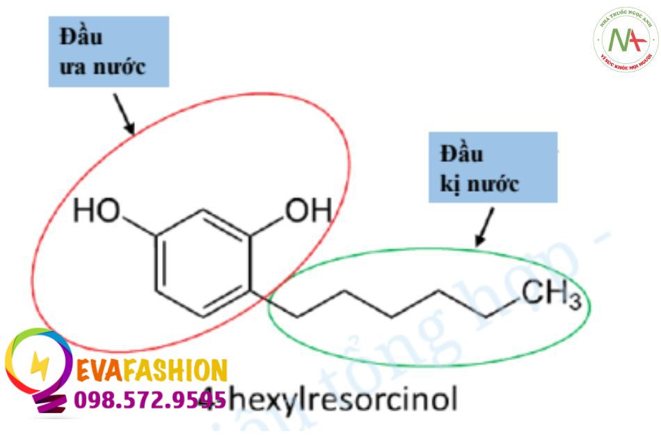 Công thức hóa học của 4-HEXYLRESORCTNOL (4-HR)